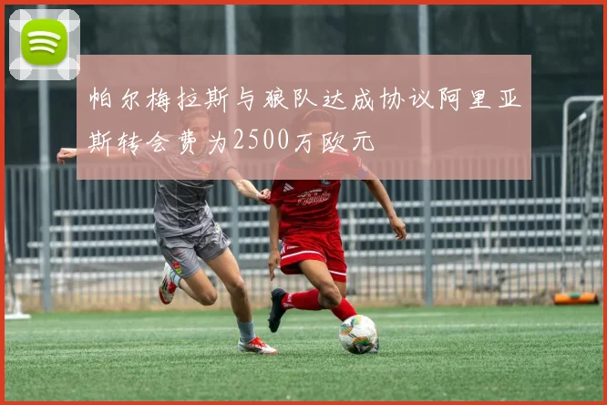 帕尔梅拉斯与狼队达成协议阿里亚斯转会费为2500万欧元
