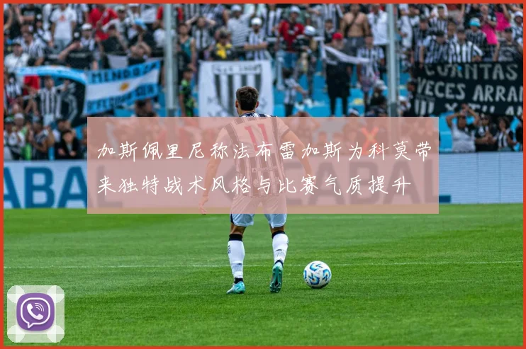 加斯佩里尼称法布雷加斯为科莫带来独特战术风格与比赛气质提升